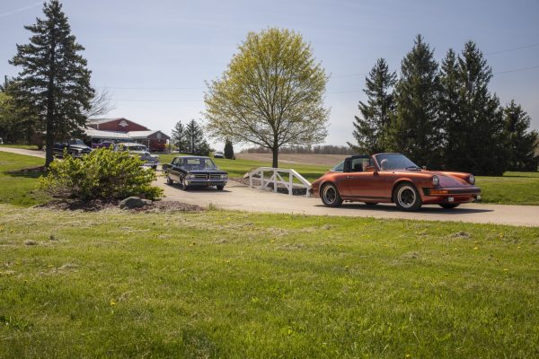 8N1A6958-Enhanced-NR 8N1A6958-Enhanced-NR